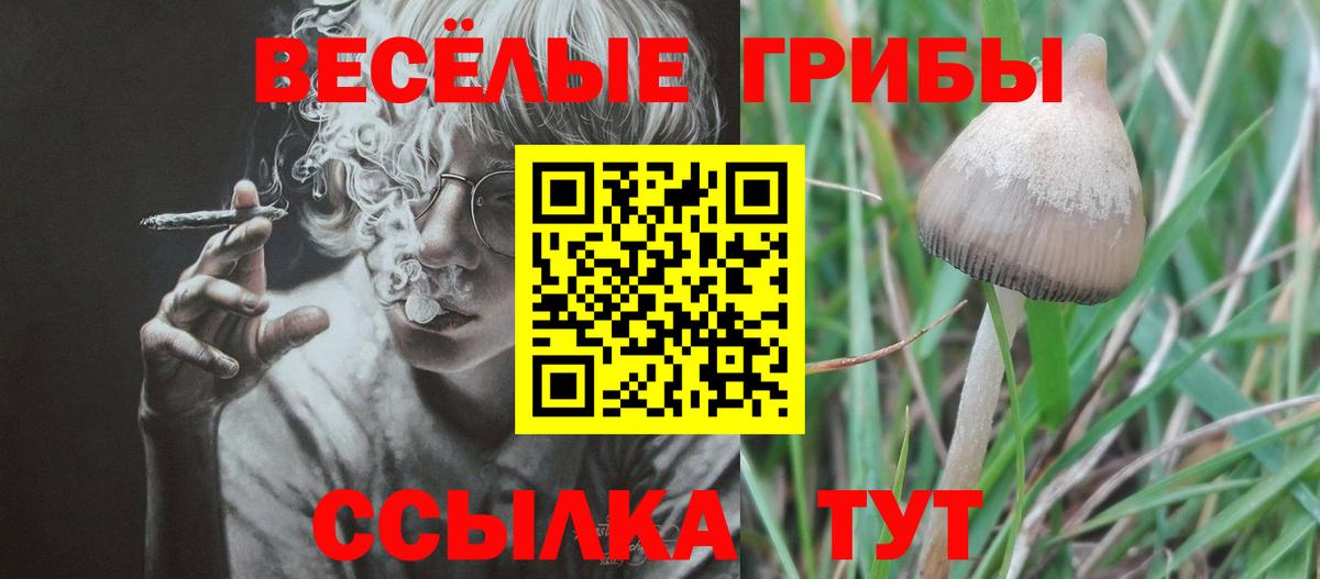 Железноводск  Галлюциногенные грибы прущие грибы  Вход с VPN 